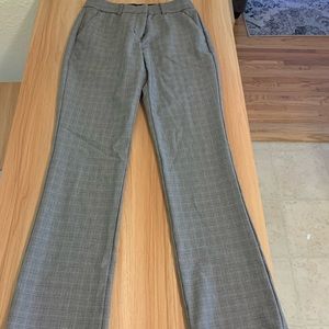 Express Bootcut Dress Pants